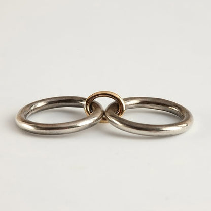 Multi_Link_Interlocking_Ring