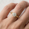 Round Cut Lab Grown Diamond Nature Inspired Engagement Ring
