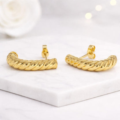 hoops modern hoops rich gold earrings polished hoops statement jewelry women fashion fine earrings luxe hoops chunky jewelry