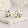 Round Cut Double Prong Set Studs Earrings in 14K Gold